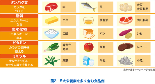 図2　5大栄養素を多く含む食品例