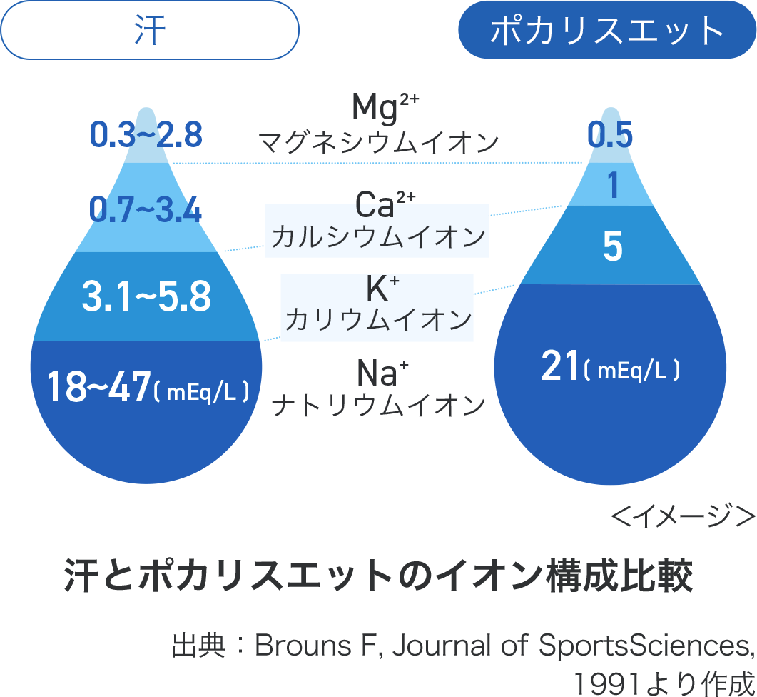 汗 0.3~2.8 マグネシウムイオン 0.7~3.4 カルシウムイオン 3.1~5.8 カリウムイオン 18~47 ナトリウムイオン ポカリスエット 0.5 マグネシウムイオン 1 カルシウムイオン 5 カリウムイオン 21 ナトリウムイオン 汗とポカリスエットのイオン構成比較 出典：Brouns F, Journal of SportsSciences,1991より作成